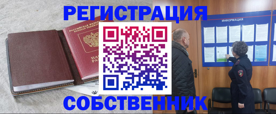 временная регистрация надежно в Дубне